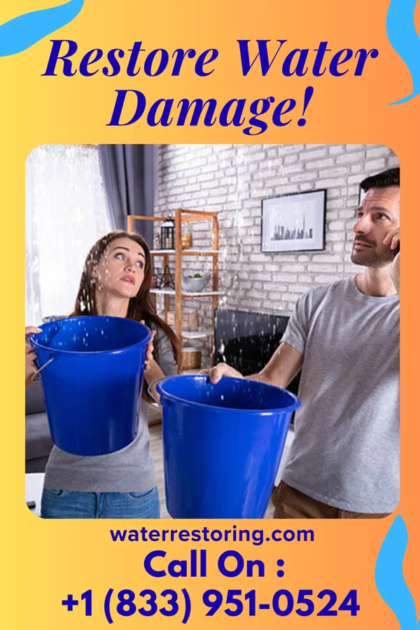 water restoration Galaxy Mitigation Masters Marion