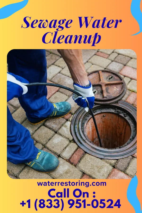 Sewage Water Cleanup in Marion, LA